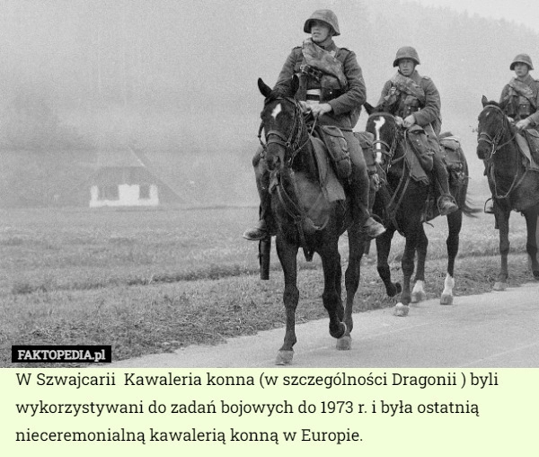 
    W Szwajcarii  Kawaleria konna (w szczególności Dragonii ) byli wykorzystywani