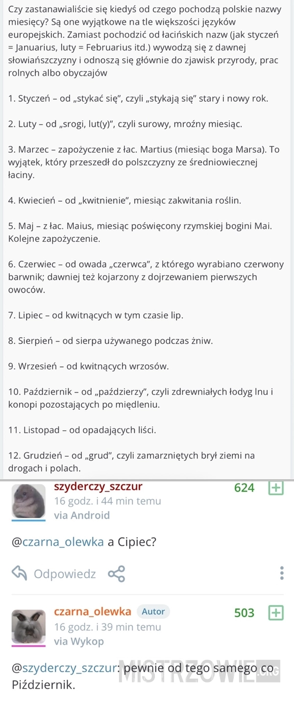 
    Ciekawostka