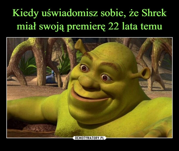 
    Kiedy uświadomisz sobie, że Shrek miał swoją premierę 22 lata temu