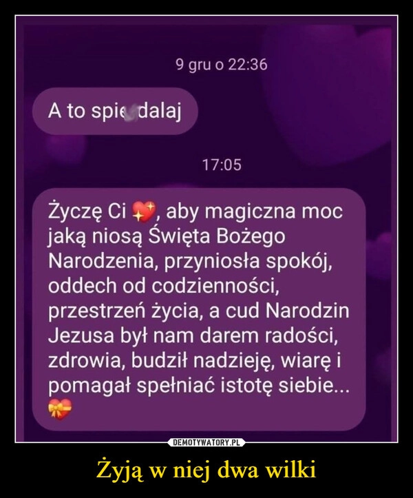 
    Żyją w niej dwa wilki