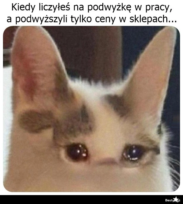 
    Podwyżka 