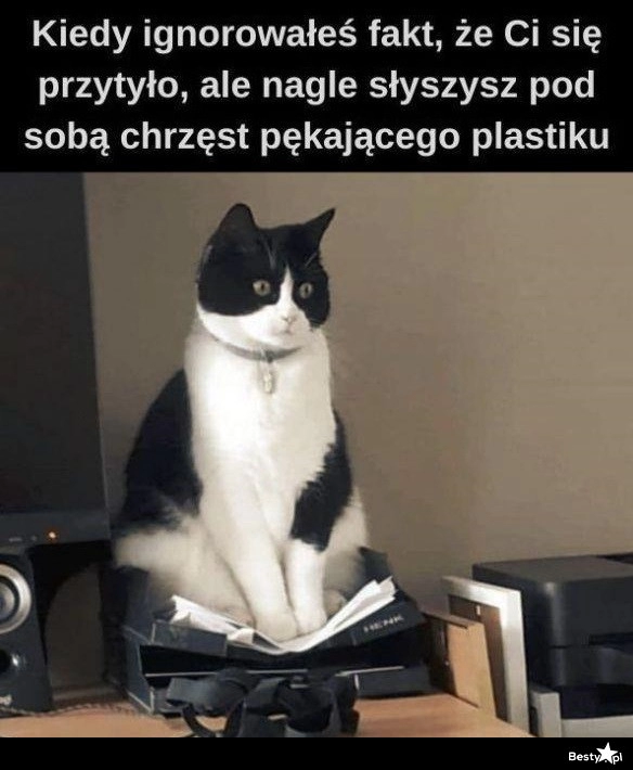 
    Już nie da się ignorować 