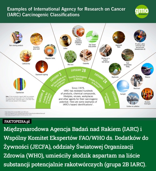 
    Międzynarodowa Agencja Badań nad Rakiem (IARC) i Wspólny Komitet Ekspertów