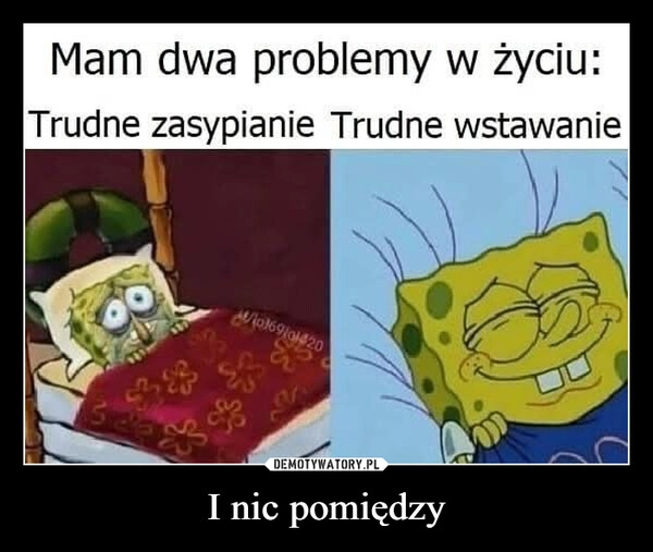 
    I nic pomiędzy