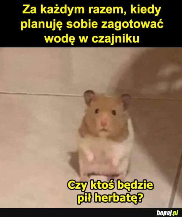 
    Chce ktoś?