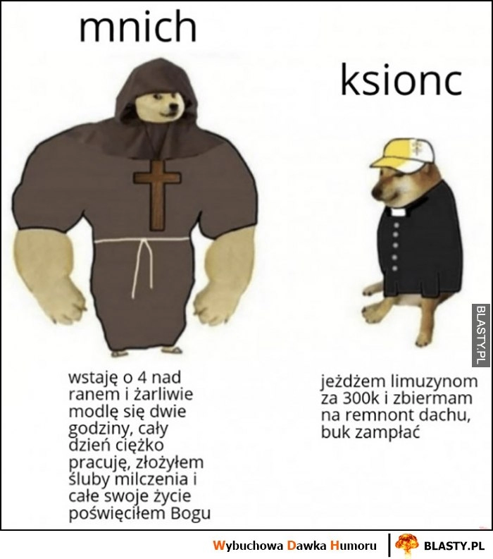 
    Mnich vs ksiąc porównanie pies pieseł doge