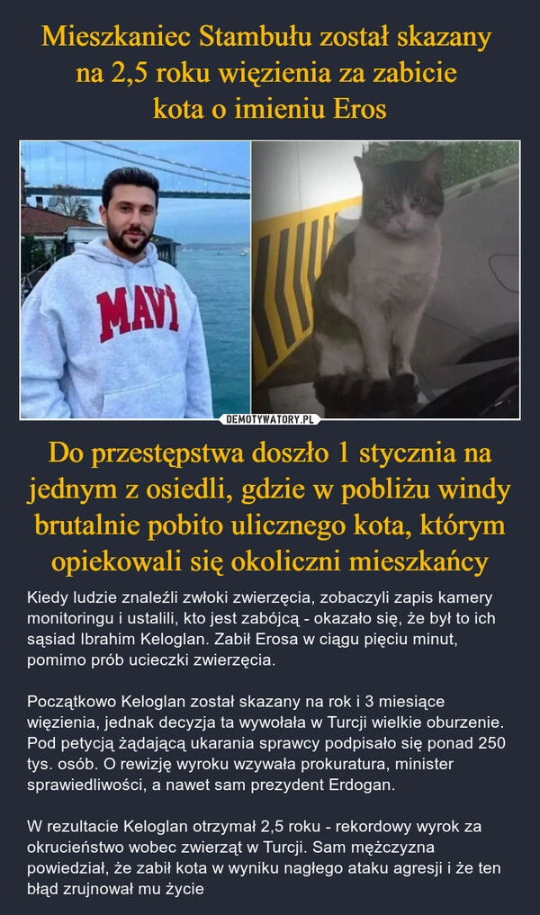 
    Mieszkaniec Stambułu został skazany 
na 2,5 roku więzienia za zabicie 
kota o imieniu Eros Do przestępstwa doszło 1 stycznia na jednym z osiedli, gdzie w pobliżu windy brutalnie pobito ulicznego kota, którym opiekowali się okoliczni mieszkańcy