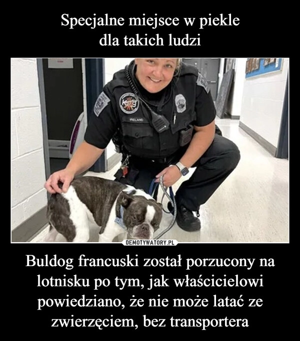 
    Specjalne miejsce w piekle
dla takich ludzi Buldog francuski został porzucony na lotnisku po tym, jak właścicielowi powiedziano, że nie może latać ze zwierzęciem, bez transportera