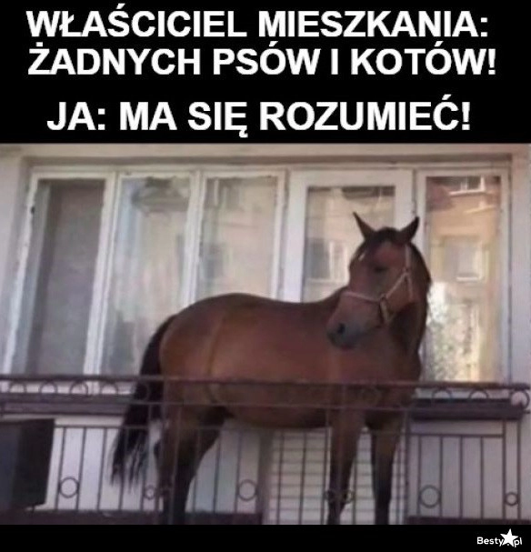 
    Przyjęto do wiadomości 