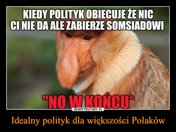 
    Idealny polityk dla większości Polaków