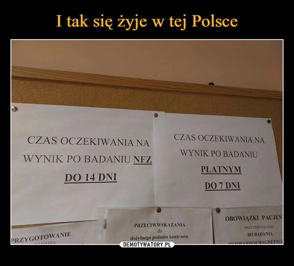 
    I tak się żyje w tej Polsce