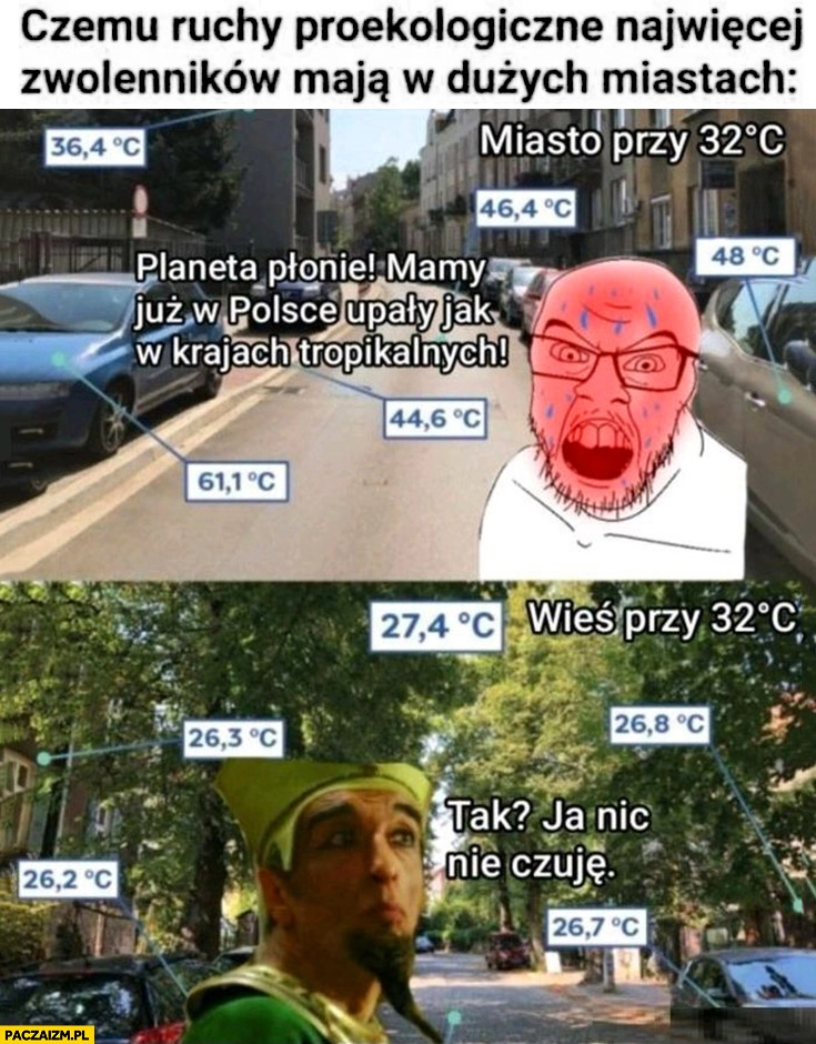 
    Czemu ruchy proekologiczne najwięcej zwolenników mają w dużych miastach porównanie temperatury w mieście i na wsi