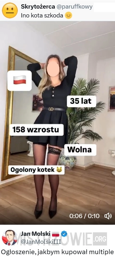 
    Tylko kota szkoda