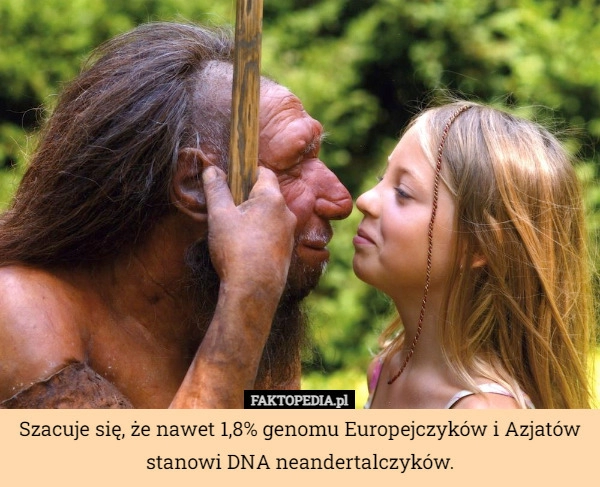 
    Szacuje się, że nawet 1,8% genomu Europejczyków i Azjatów stanowi DNA...