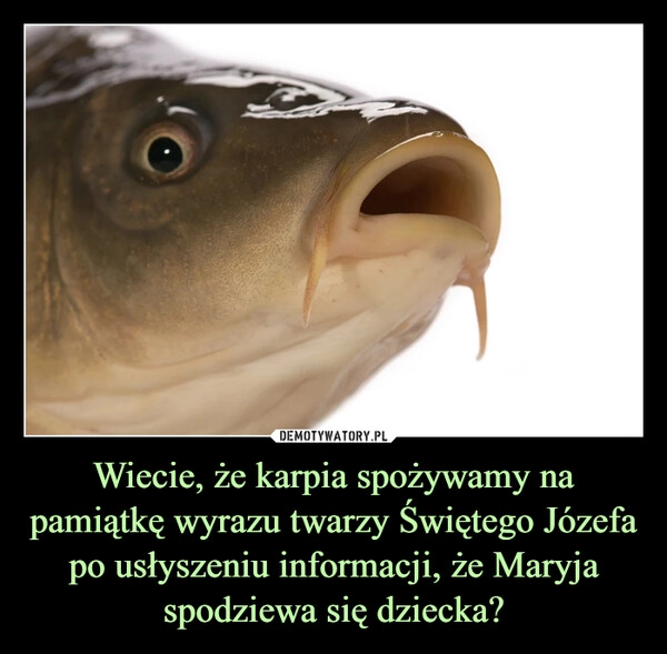 
    Wiecie, że karpia spożywamy na pamiątkę wyrazu twarzy Świętego Józefa po usłyszeniu informacji, że Maryja spodziewa się dziecka?