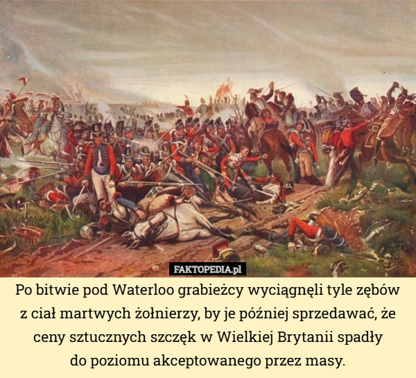 
    Po bitwie pod Waterloo grabieżcy wyciągnęli tyle zębów
z ciał martwych żołnierzy,