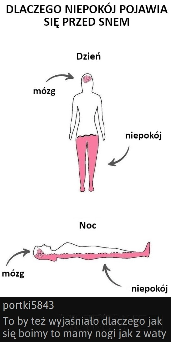 
    Niepokój