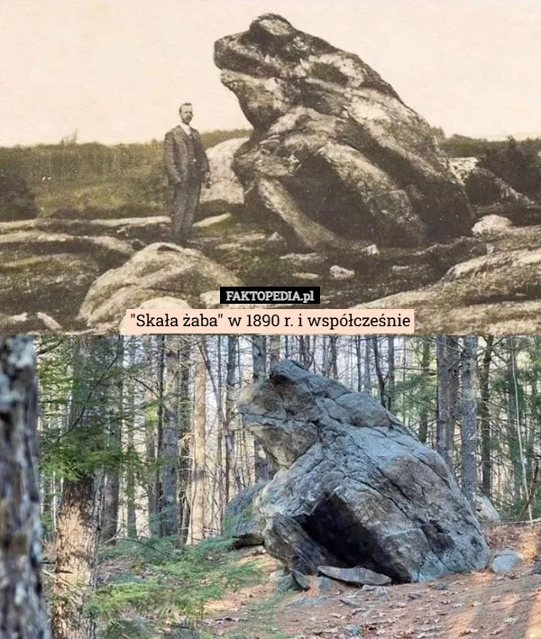 
    "Skała żaba" w 1890 r. i współcześnie