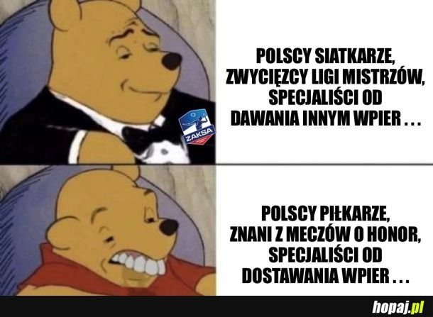 
    Polacy wygrali ligę mistrzów w siatkówce