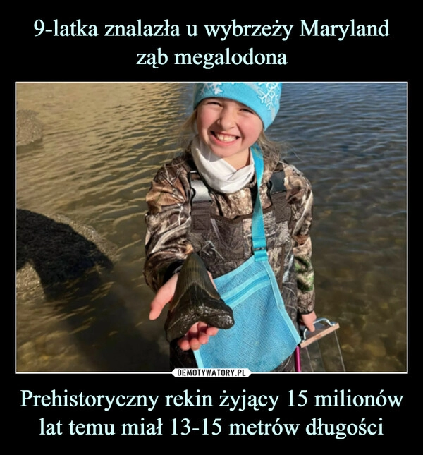 
    9-latka znalazła u wybrzeży Maryland ząb megalodona Prehistoryczny rekin żyjący 15 milionów lat temu miał 13-15 metrów długości 