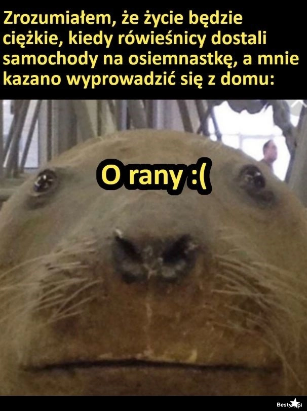 
    Ciężkie życie 