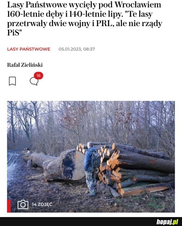 
    Lasy Państwowe tną jak idzie