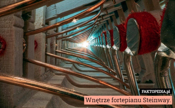 
    Wnętrze fortepianu Steinway.