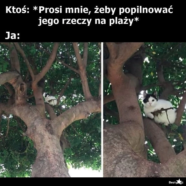 
    I pilnujesz bardziej, niż swoich 