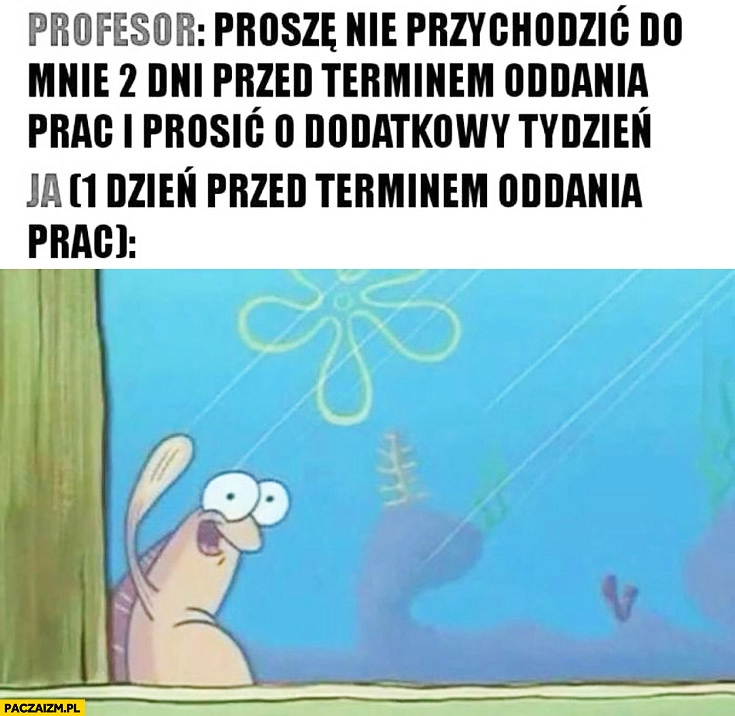 
    Profesor: proszę nie przychodzić do mnie 2 dni przed terminem oddania prac i prosić o dodatkowy tydzień. Ja 1 dzień przed terminem oddania prac