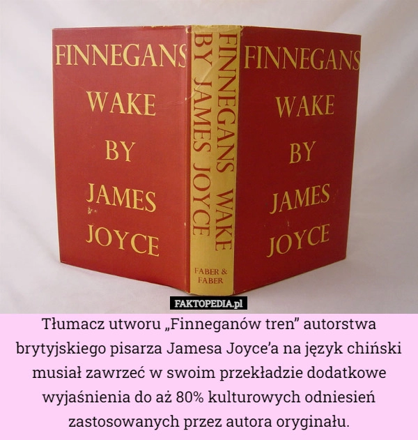 
    Tłumacz utworu „Finneganów tren” autorstwa brytyjskiego pisarza Jamesa Joyce’a