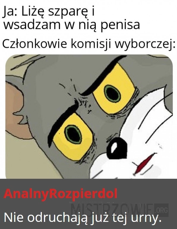 
    Idźcie na wybory