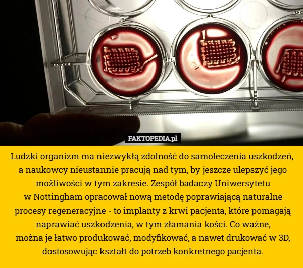 
    Ludzki organizm ma niezwykłą zdolność do samoleczenia uszkodzeń, 
a naukowcy