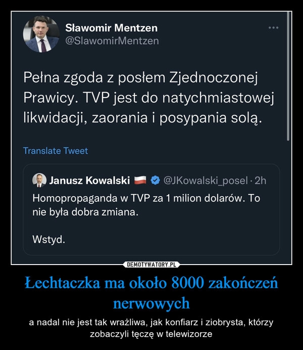 
    Łechtaczka ma około 8000 zakończeń nerwowych 