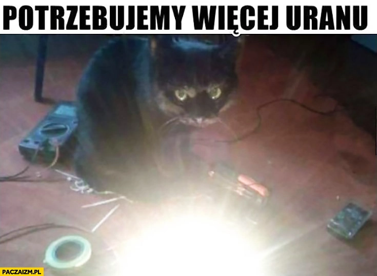
    Potrzebujemy więcej uranu. Kot buduje bombę