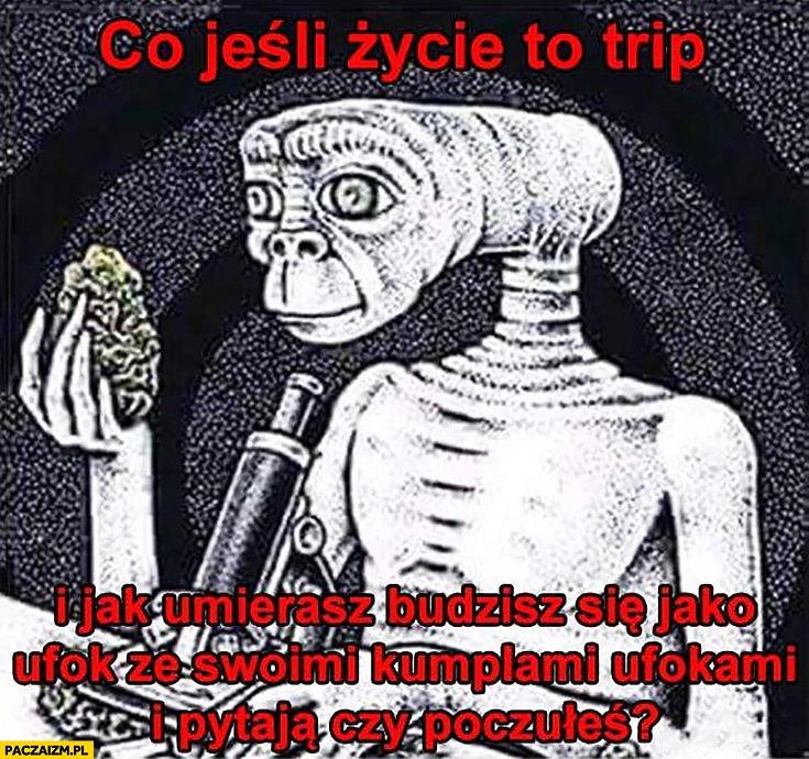 
    A co jeśli życie to trip i jak umierasz budzisz się jako ufok ze swoimi kumplami ufokami i pytają czy poczułeś?