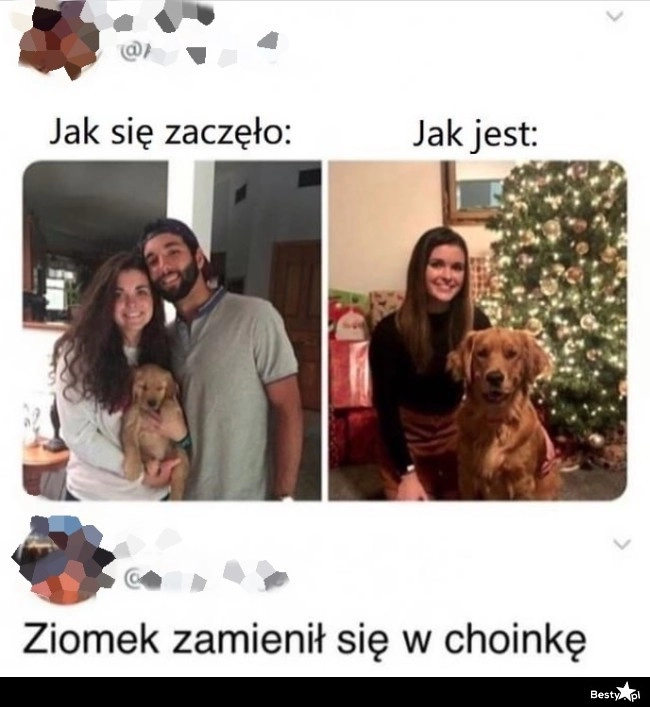 
    Szybkie podsumowanie 