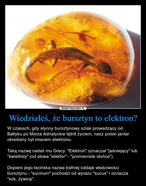 
    Wiedziałeś, że bursztyn to elektron?