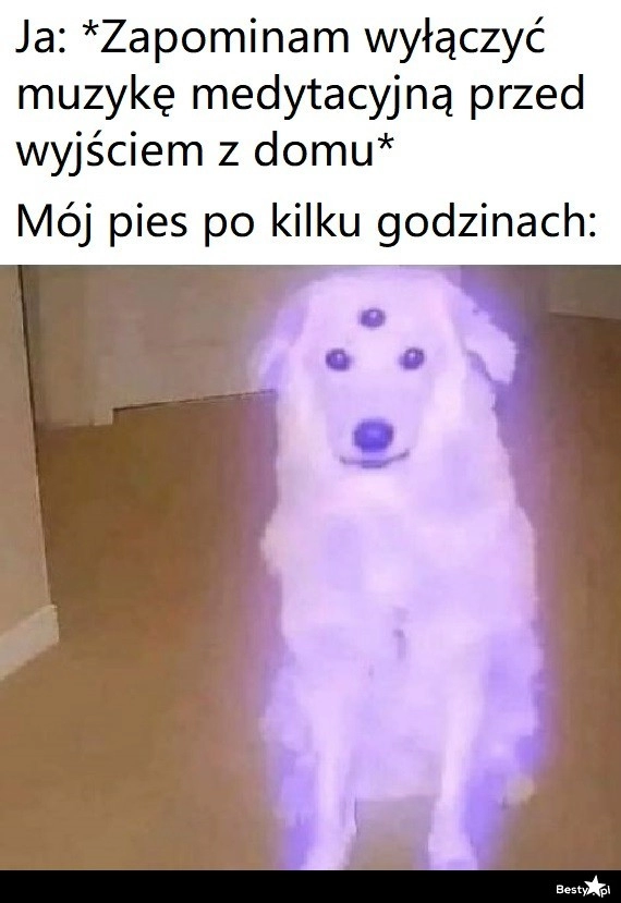 
    Muzyka medytacyjna 