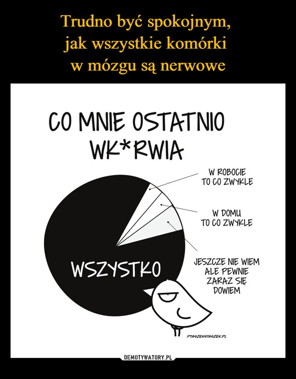 
    Trudno być spokojnym, 
jak wszystkie komórki 
w mózgu są nerwowe