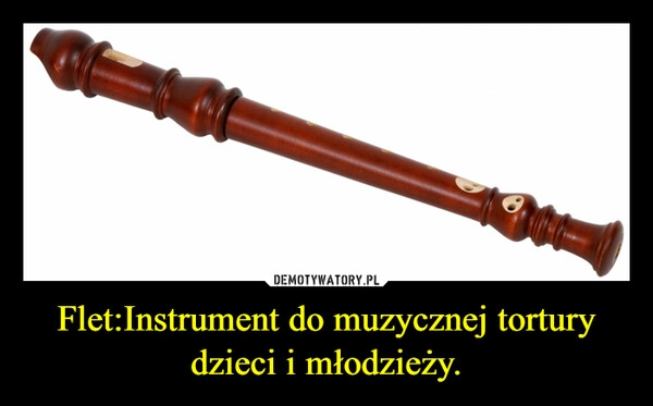 
    Flet:Instrument do muzycznej tortury dzieci i młodzieży.