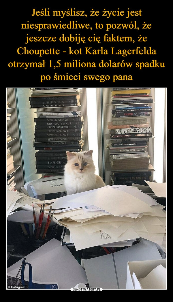 
    Jeśli myślisz, że życie jest niesprawiedliwe, to pozwól, że jeszcze dobiję cię faktem, że Choupette - kot Karla Lagerfelda otrzymał 1,5 miliona dolarów spadku po śmieci swego pana