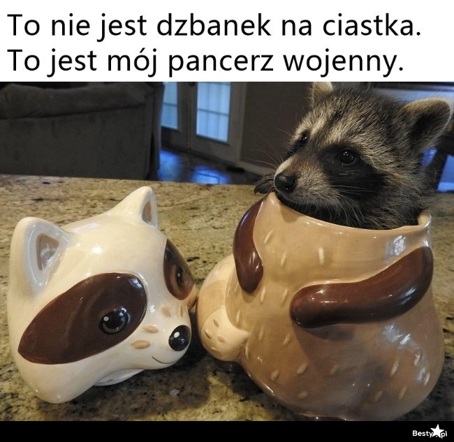 
    Pancerz wojenny 