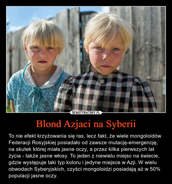 
    
Blond Azjaci na Syberii 