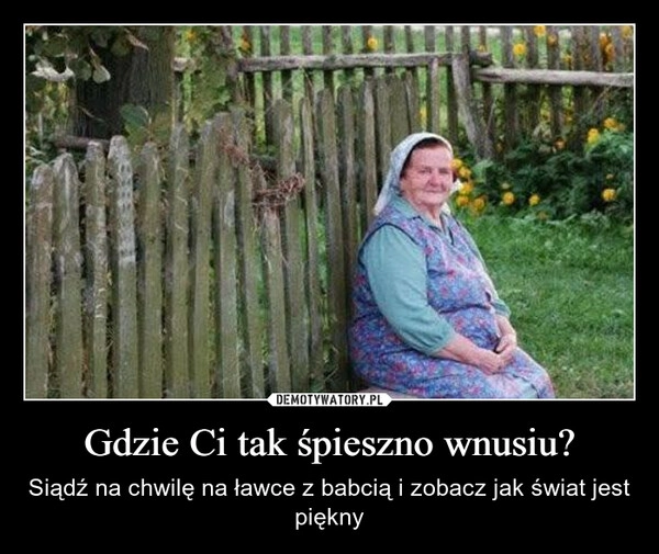 
    Gdzie Ci tak śpieszno wnusiu?