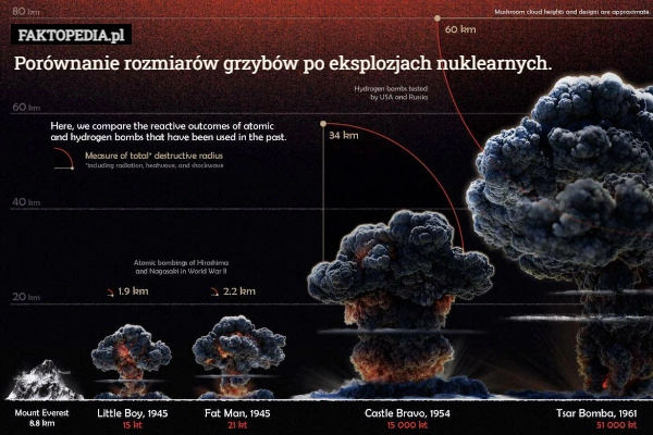 
    Porównanie rozmiarów grzybów po eksplozjach nuklearnych.