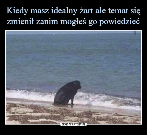 
    Kiedy masz idealny żart ale temat się zmienił zanim mogłeś go powiedzieć