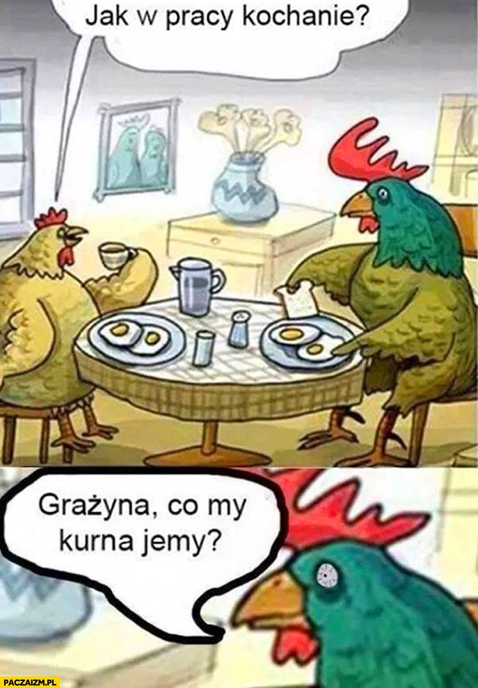 
    Grażyna co my kurwa jemy? kogut jajka