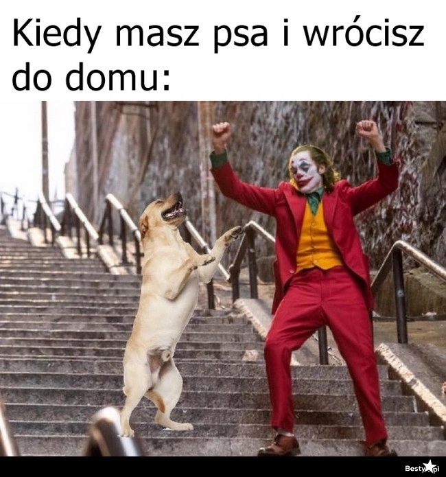 
    Sama radość 