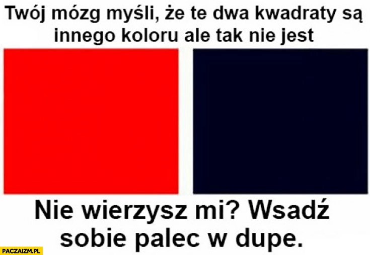 
    Twój mózg myśli, że te dwa kwadraty są innego koloru, ale tak nie jest. Nie wierzysz mi? Wsadź sobie palec w dupę