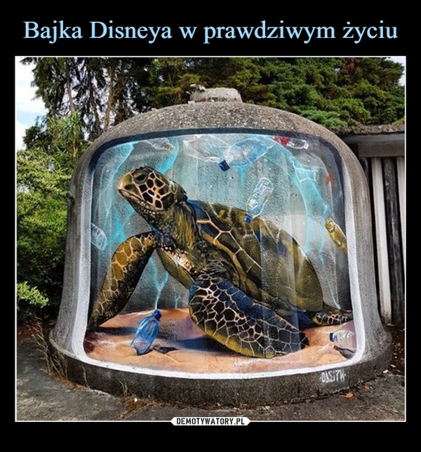 
    Bajka Disneya w prawdziwym życiu